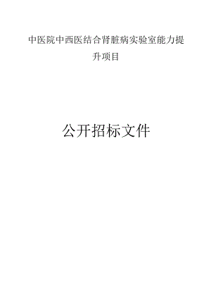 中医院中西医结合肾脏病实验室能力提升项目招标文件.docx