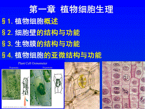 第一章土壤养分.ppt