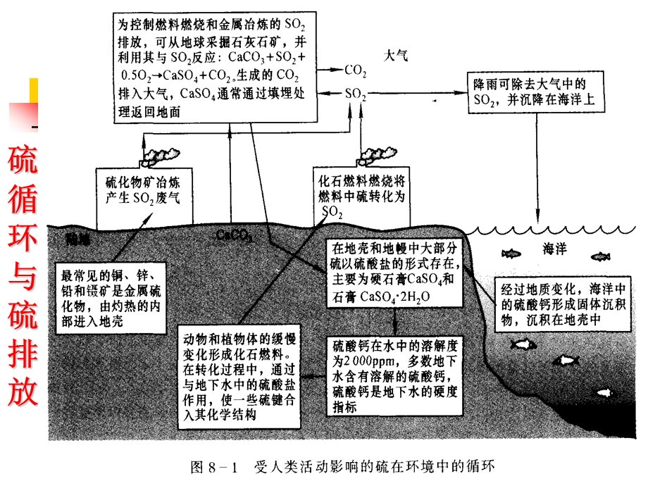 第8章硫氧化物及其控制.ppt_第3页