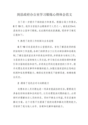 到县政府办公室学习锻炼心得体会范文.docx