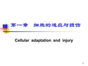 第一章细胞的损伤与适应名师编辑PPT课件.ppt