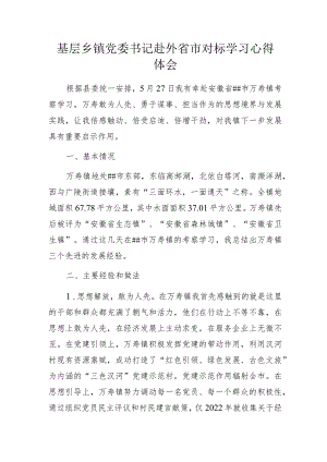 基层乡镇党委书记赴外省市对标学习心得体会.docx