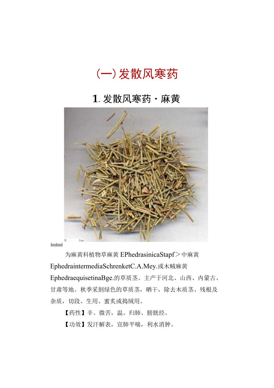 (新)常用中草药饮片图解表药(全汇编).docx_第3页