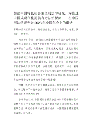 加强中国特色社会主义刑法学研究为推进中国式现代化提供有力法治保障——在中国刑法学研究会2023年全国年会上的讲话.docx