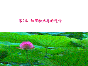 第9章细菌和病毒的遗传作图.ppt