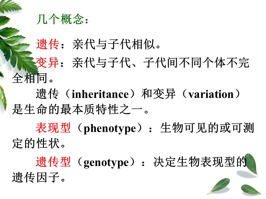 第8章遗传与变异.ppt_第2页