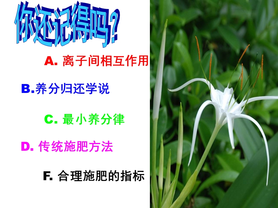 第9章植物的氮素营养与氮肥施.ppt_第1页