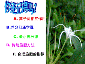 第9章植物的氮素营养与氮肥施.ppt