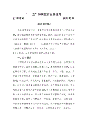 “十四五”特殊教育发展提升行动计划实施方案.docx