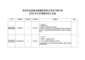 资阳文化旅游发展集团有限公司及下属公司2023年公开招聘岗位汇总表.docx