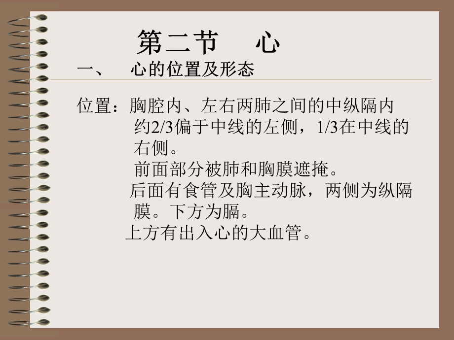 心脏结构及功能.ppt_第2页