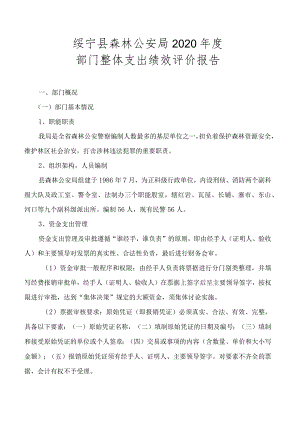 绥宁县森林公安局2020年度部门整体支出绩效评价报告.docx