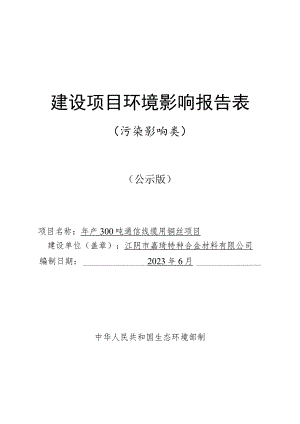 年产300吨通信线缆用铜丝项目环境影响报告.docx