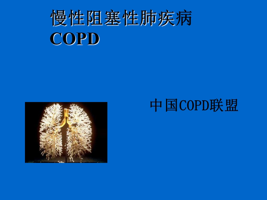 慢性阻塞性肺疾病诊治指南.ppt_第1页