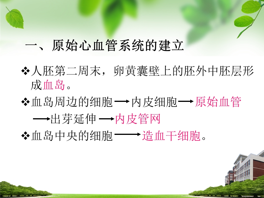 心血管系统发生.ppt_第2页