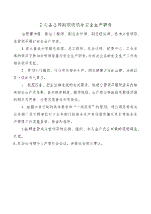 公司各总师副职级领导安全生产职责.docx