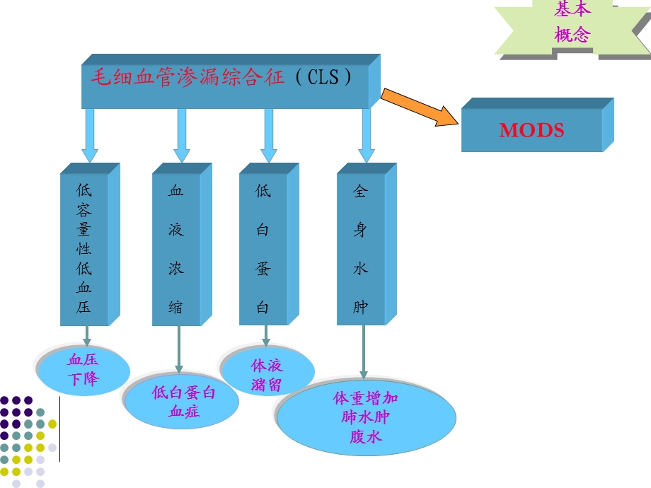 毛细血管渗漏综合征幻灯片.ppt_第3页