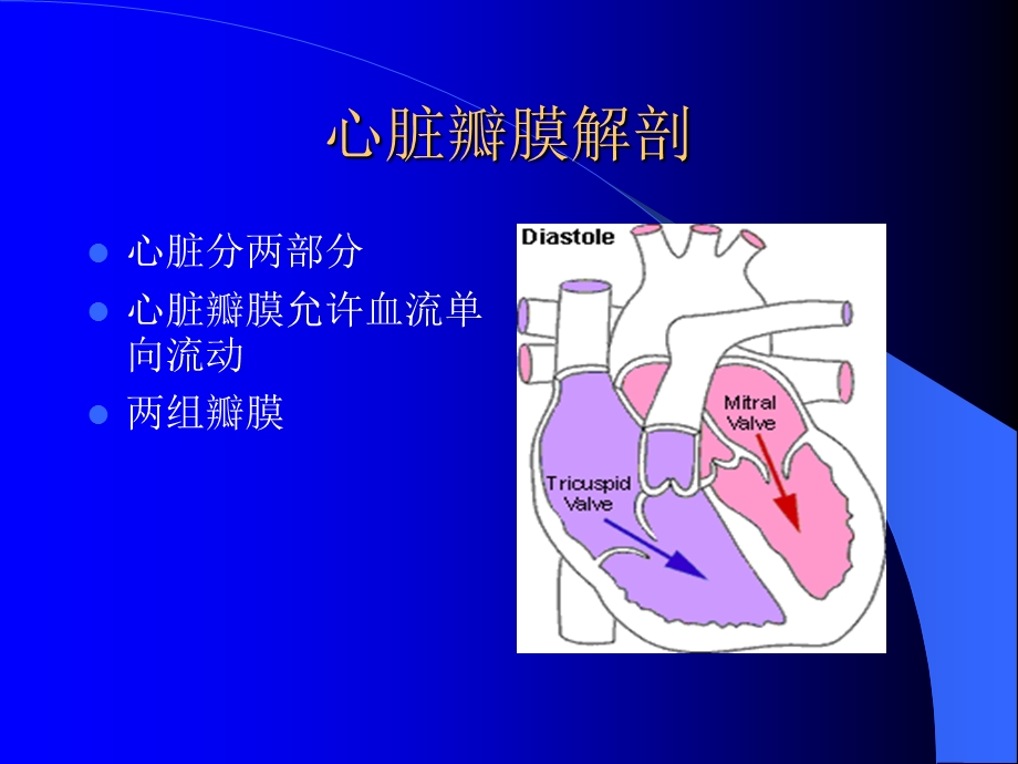 心脏瓣膜病和冠心病.ppt_第2页