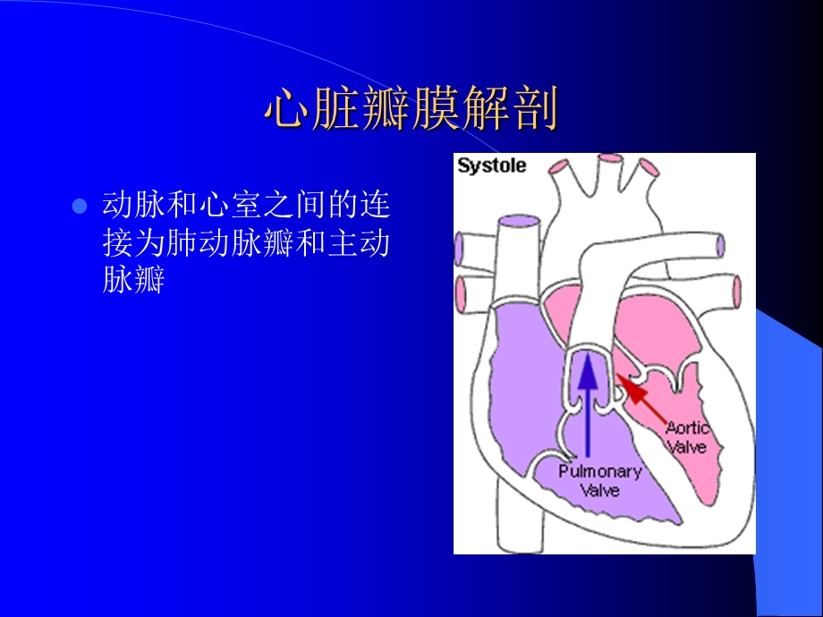 心脏瓣膜病和冠心病.ppt_第3页