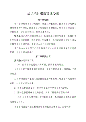 建设项目进度管理办法.docx