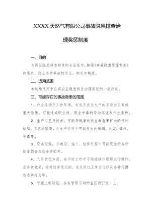 天然气有限公司事故隐患排查治理奖惩制度.docx