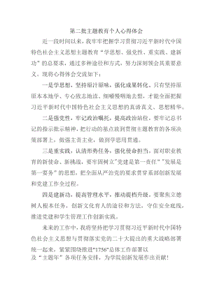 医院院长党员干部学习第二批主题教育个人心得体会 （汇编7份）.docx