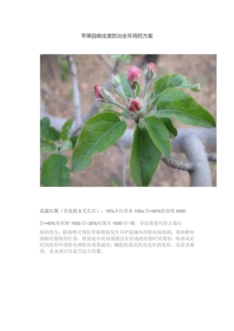 苹果园病虫害防治全年用药方案.docx_第1页