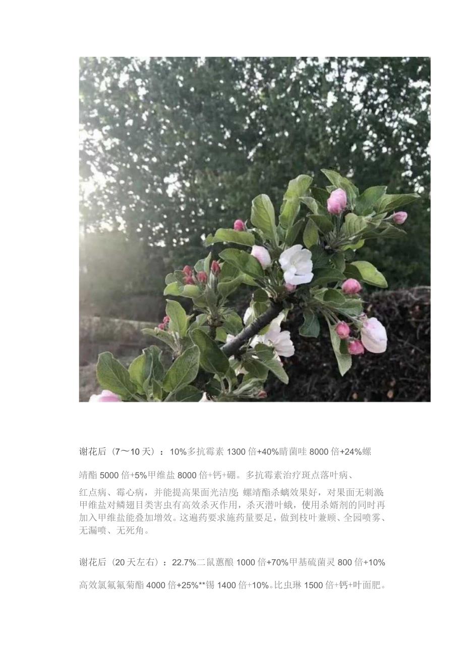 苹果园病虫害防治全年用药方案.docx_第2页