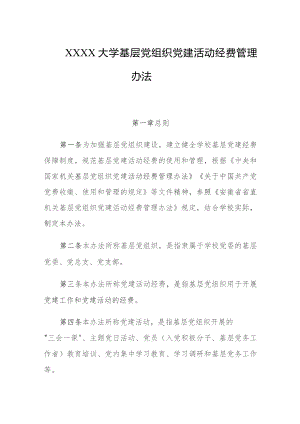 大学基层党组织党建活动经费管理办法.docx