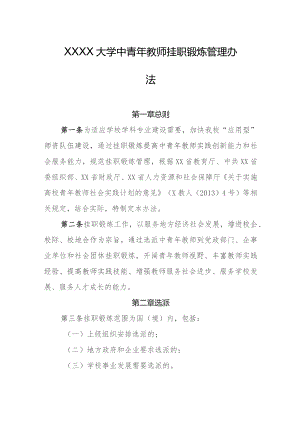 大学中青年教师挂职锻炼管理办法.docx