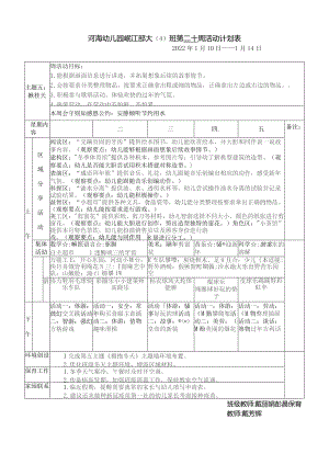 河海幼儿园岷江部大4班第二十周活动计划表.docx