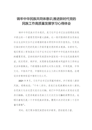 三篇关于学习《铸牢中华民族共同体意识,推进新时代党的民族工作高质量发展》心得体会发言稿.docx