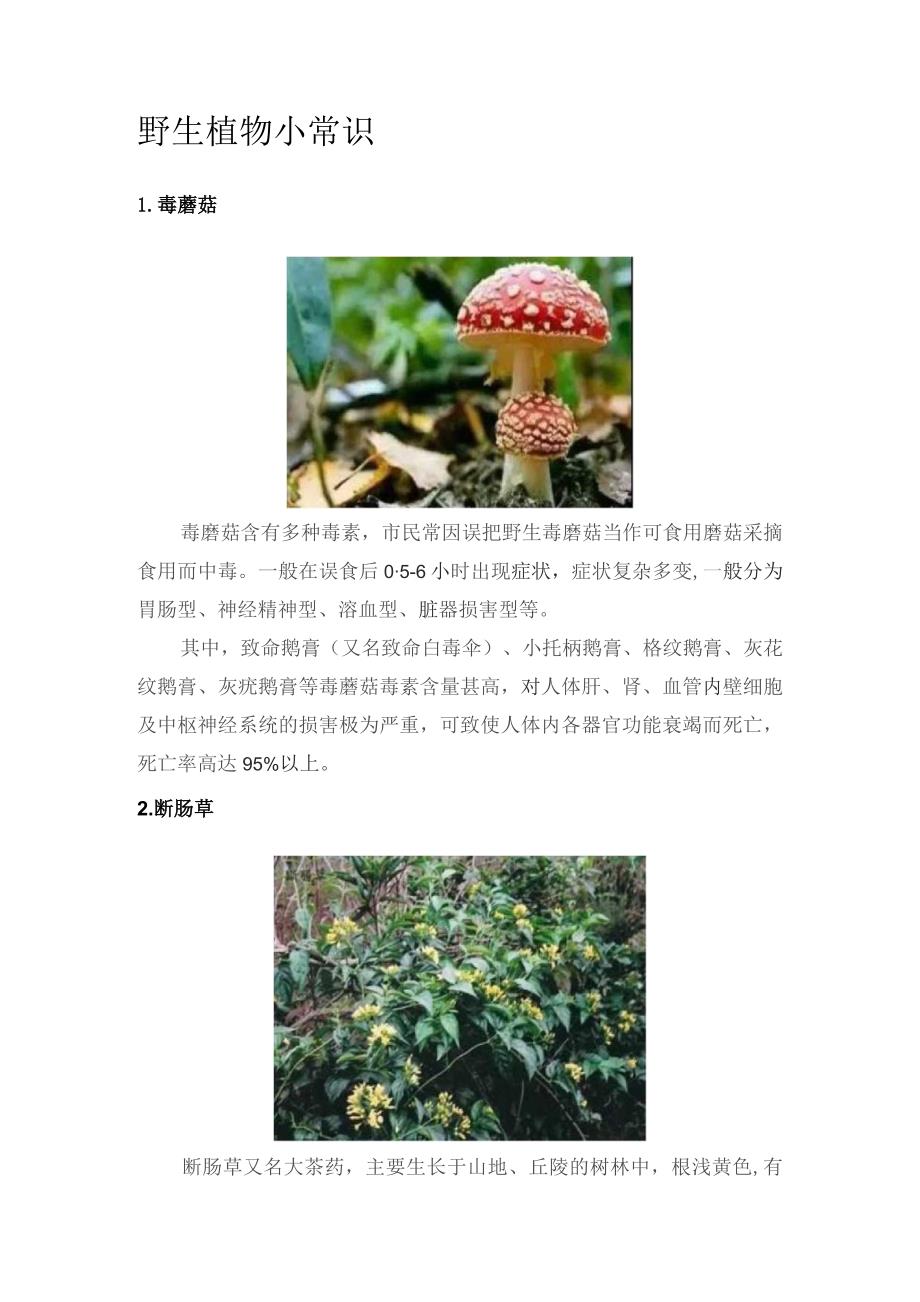 野生植物小常识.docx_第1页