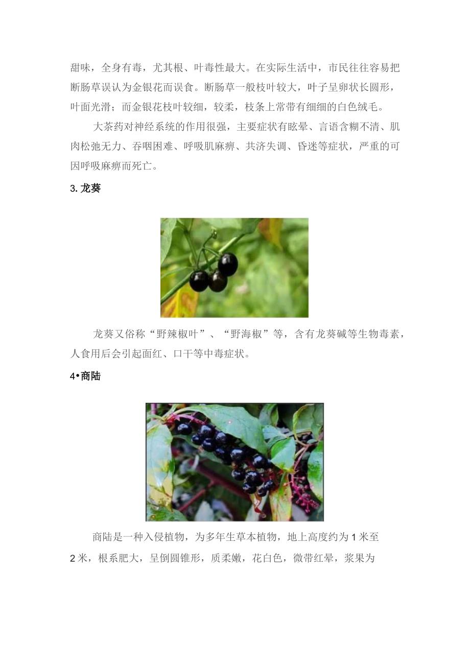 野生植物小常识.docx_第2页