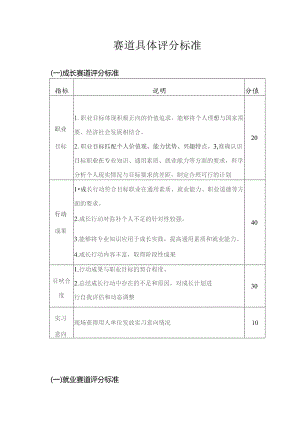 赛道具体评分标准.docx