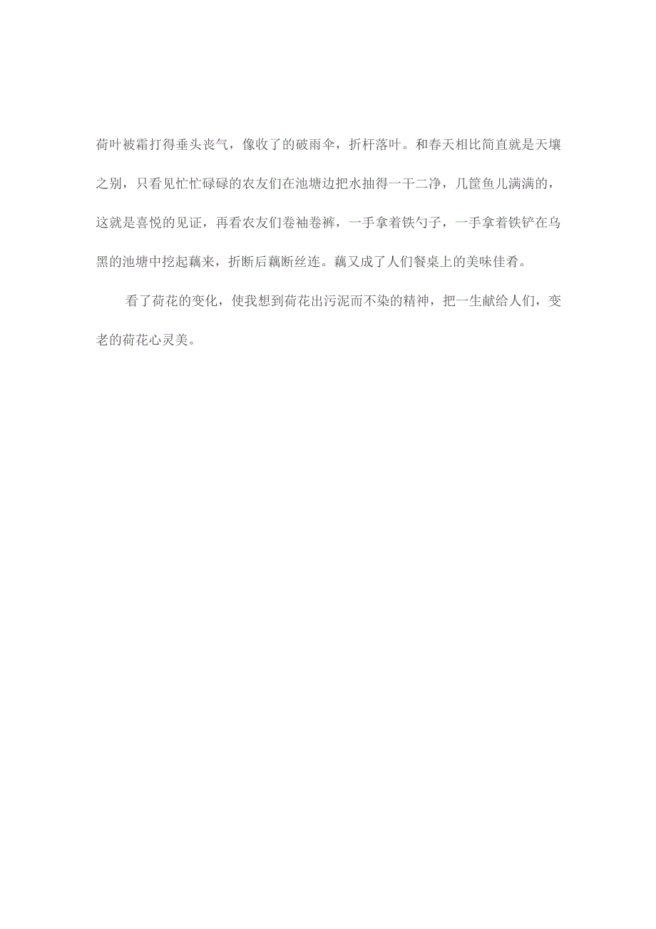 荷花联想作文(通用2篇).docx_第3页