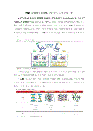 2023年钠离子电池和全钒液流电池发展分析.docx