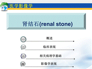 泌尿系统肾结石.ppt