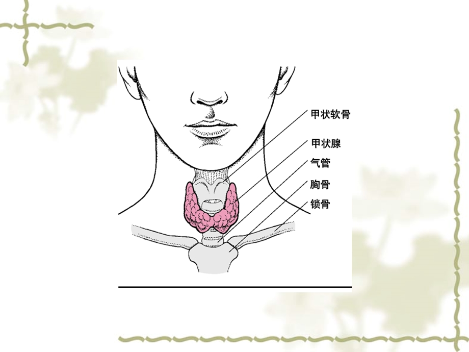 甲状腺腔镜手术.ppt_第2页