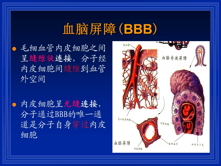 神经外科围术期容量治疗.ppt_第2页