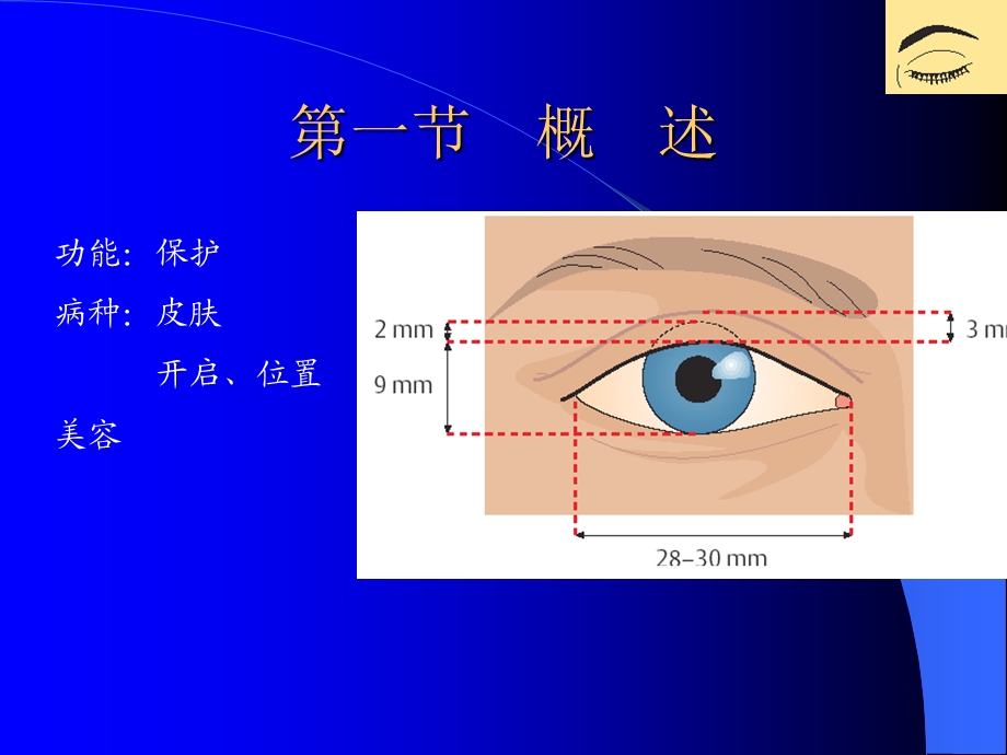 眼睑、泪器病.ppt_第2页