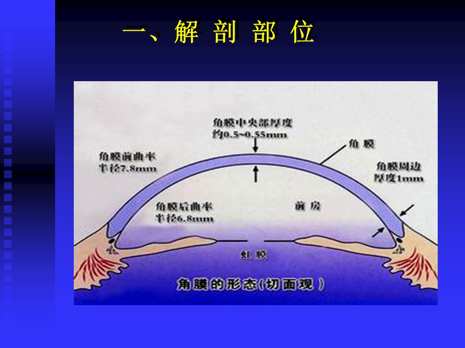 角膜疾病.ppt_第3页