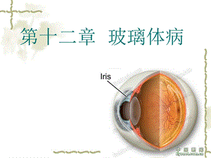 第十二章 玻璃体病.ppt