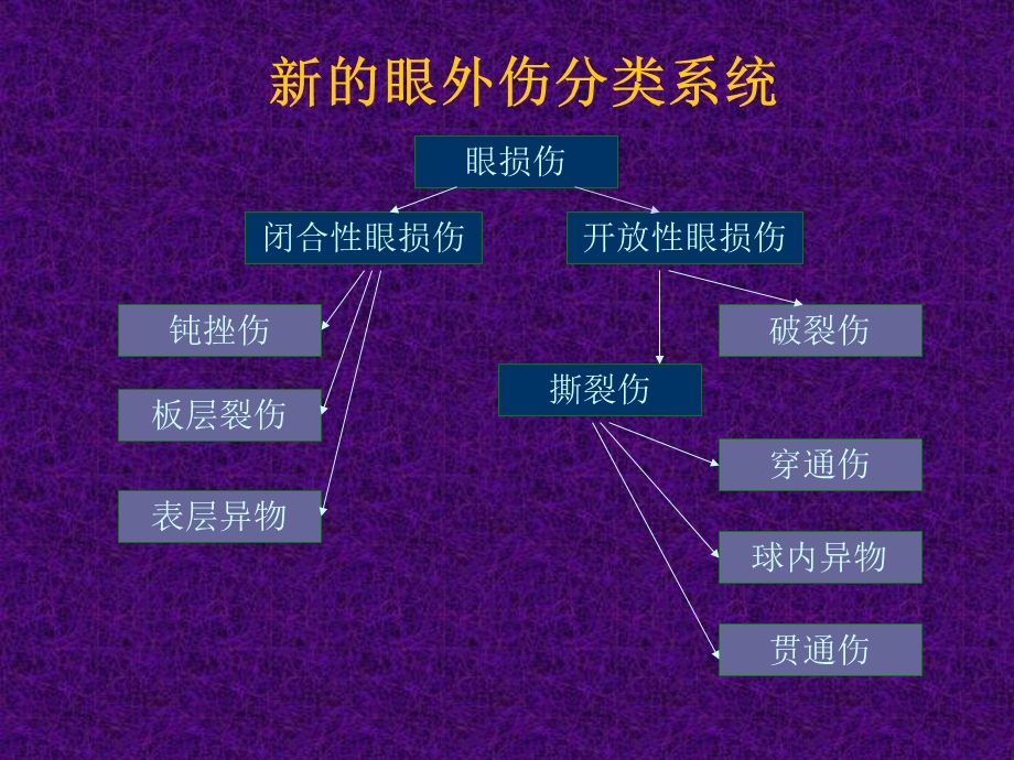 眼外伤与眼科急症处理.ppt_第3页