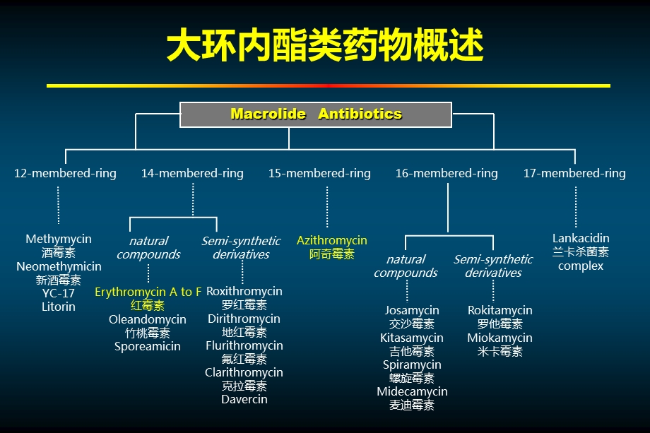 大环内酯类药物的非抗菌效应.ppt_第3页