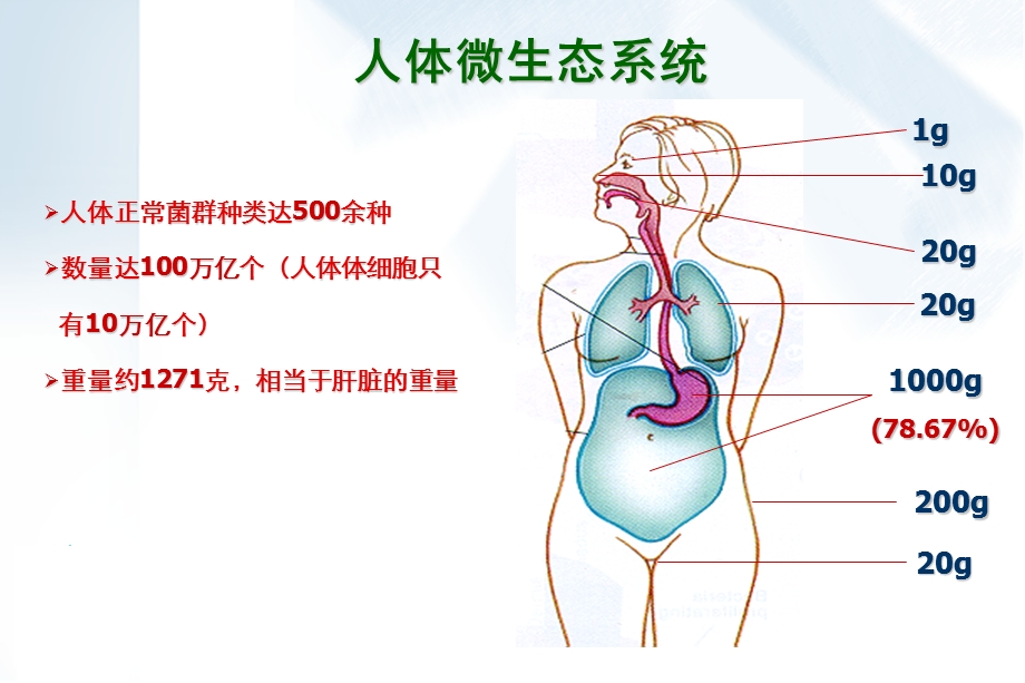 微生态制剂的临床应用.ppt_第2页