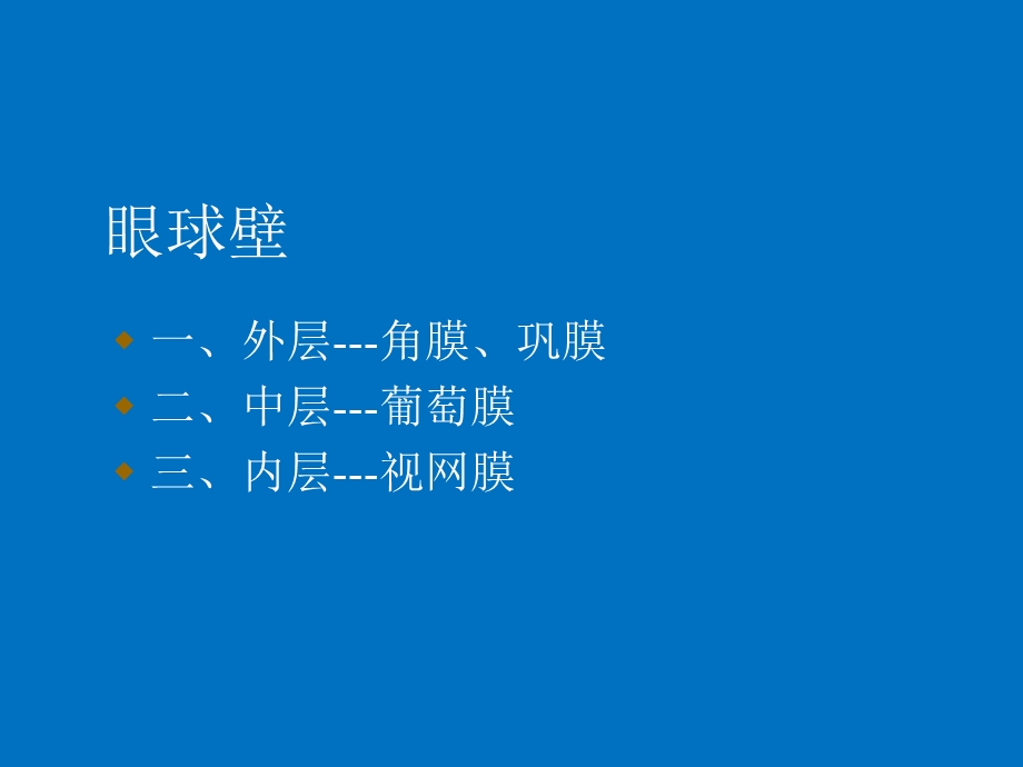 眼球解剖.ppt_第3页