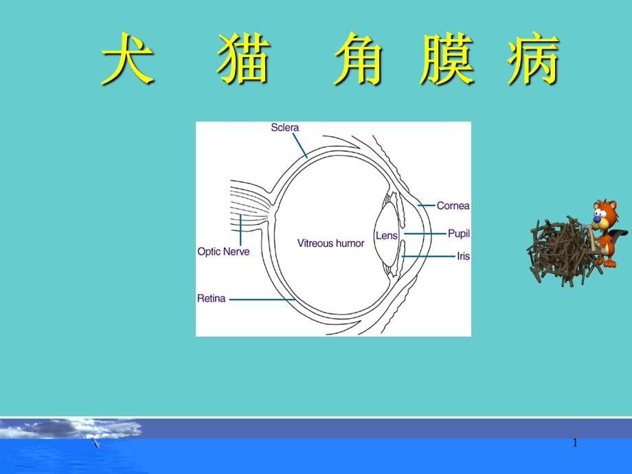 犬猫角膜病.ppt_第1页