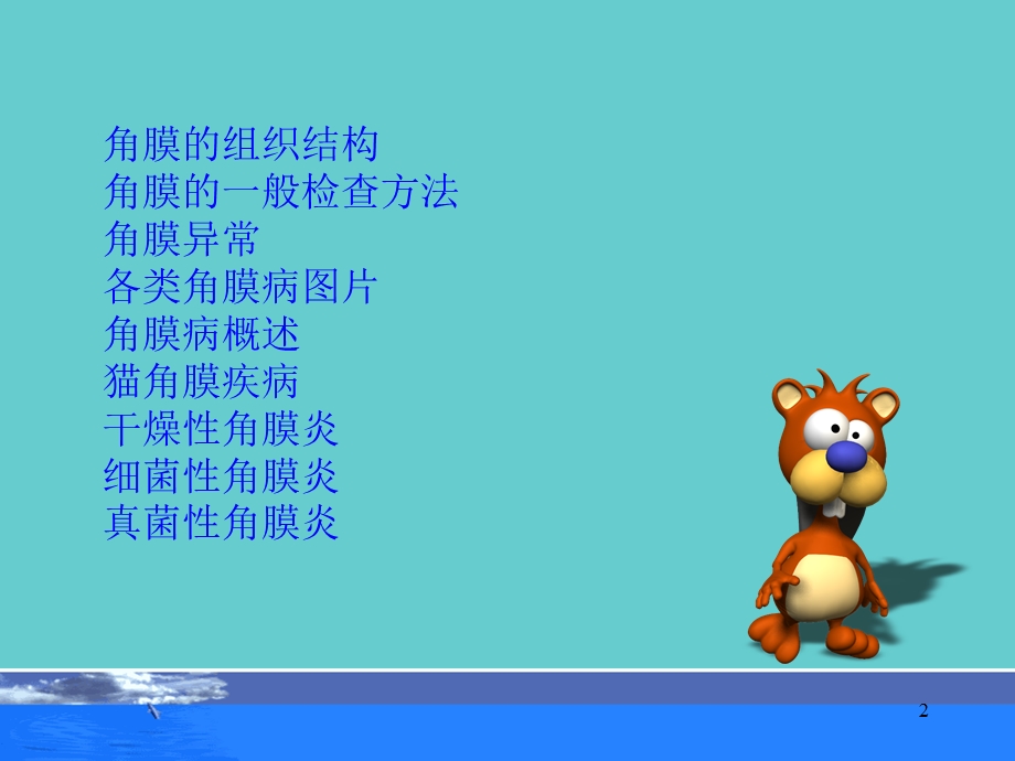 犬猫角膜病.ppt_第2页