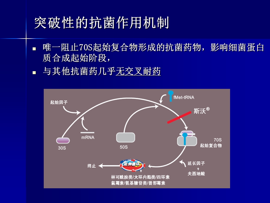 斯沃(利奈唑胺)临床药理及PK PD临床应用与疗效.ppt_第3页